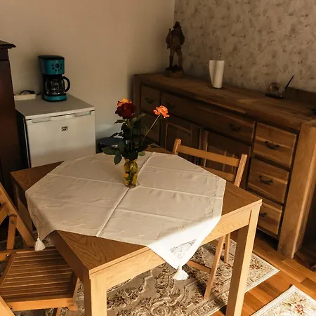 Studio Central Гостьовий будинок Брашов